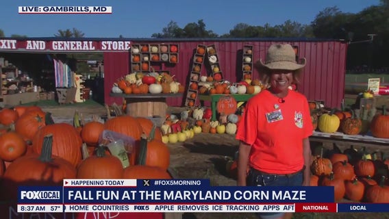 'Wicked' Corn Maze Takes Guests on a Trip Through Oz