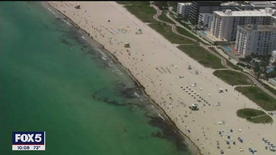 Cuomo considering COVID-19 restrictions on travelers from Florida