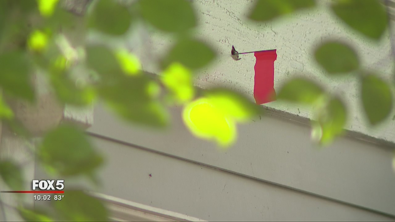 Stray bullet shot into home | FOX 5 Atlanta