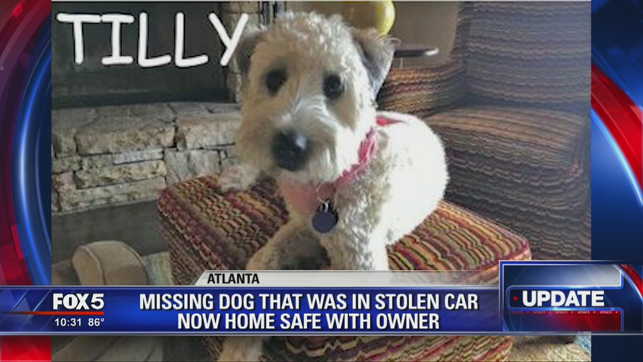 Missing dog now home safe | FOX 5 Atlanta