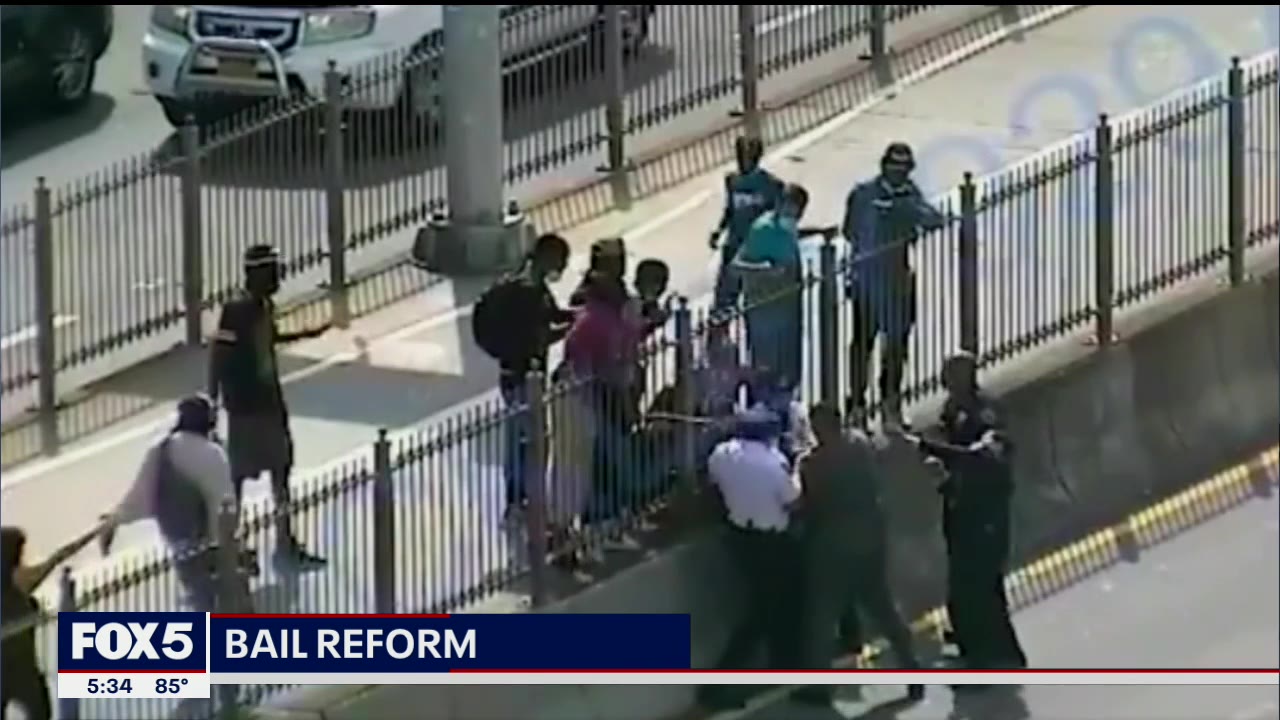 Police blast decision to release man who attacked NYPD officers without bail