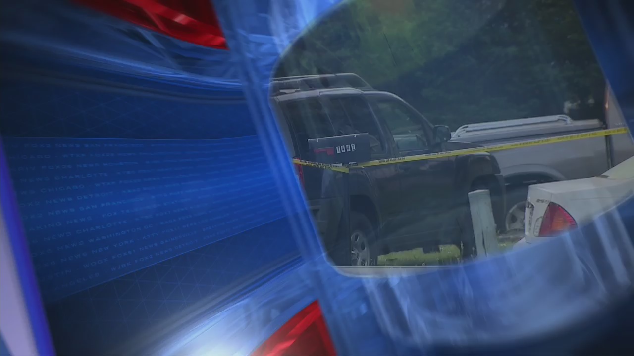 Ra'Shede Hageman returns to Falcons