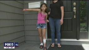 8-year-old girl bitten by fox in New Jersey