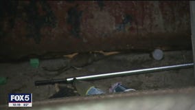 Increase in rodent complaints in Rockland County