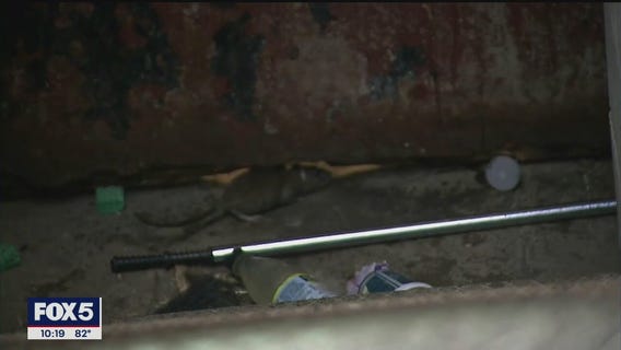 Increase in rodent complaints in Rockland County