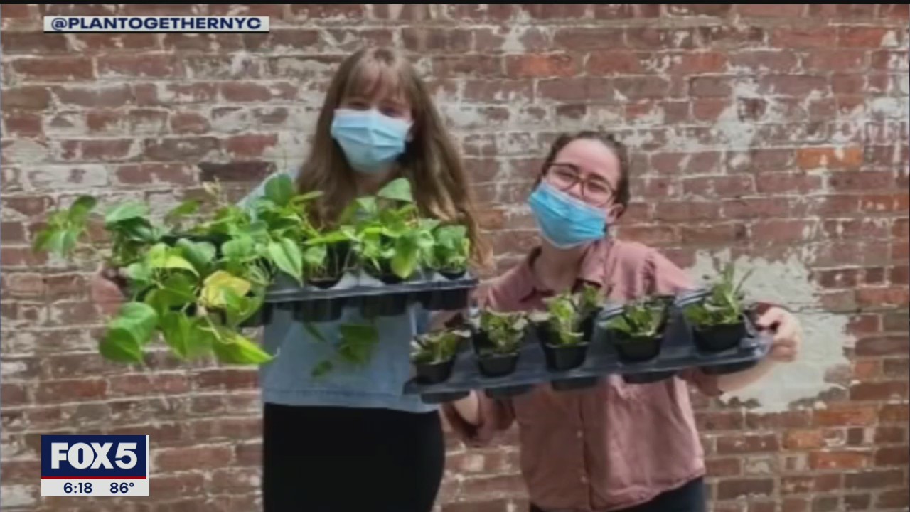 Local women sending plants to elderly New Yorkers