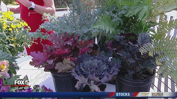 Pike Nurseries: Planting shrubs and trees during the Fall season