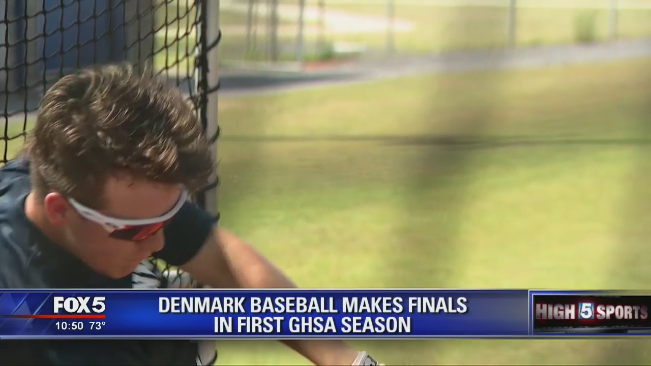 Denmark Baseball makes finals in first GHSA season