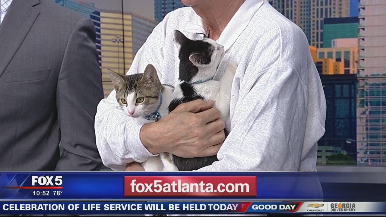 Pet of the day: Royce and Morrison