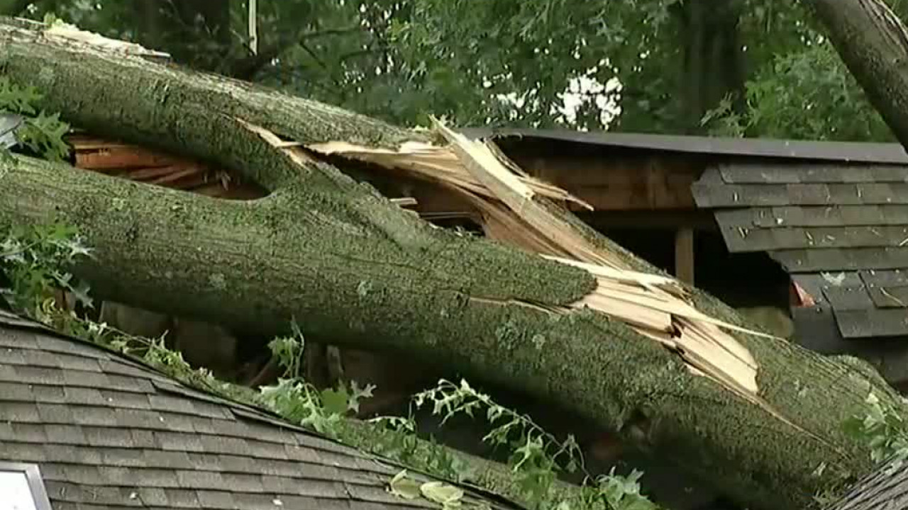Storm tears down trees in NJ