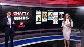 Chatty Birds - Week 4