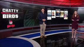 Dirty Bird Report - Chatty Birds