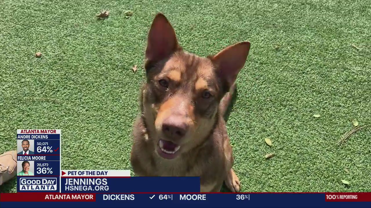 Pet of the Day from the Humane Society of Northeast Georgia