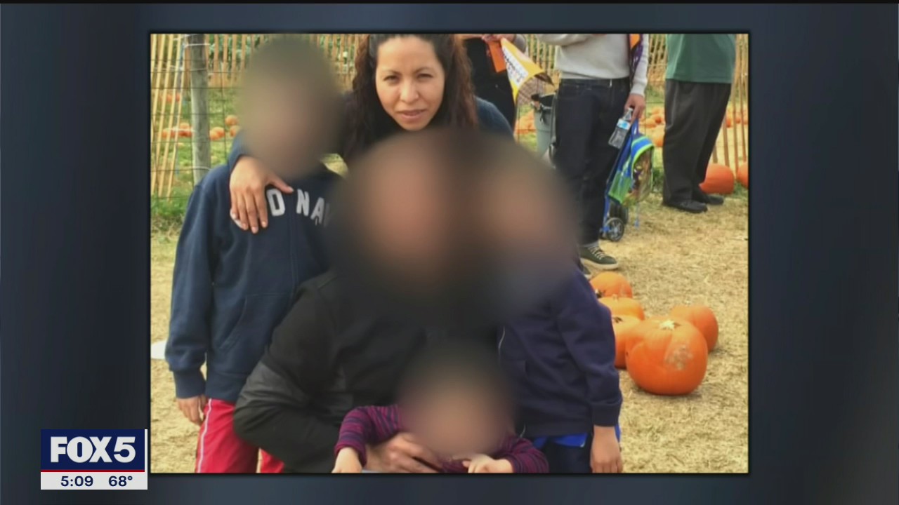 Queens woman killed by stray bullet