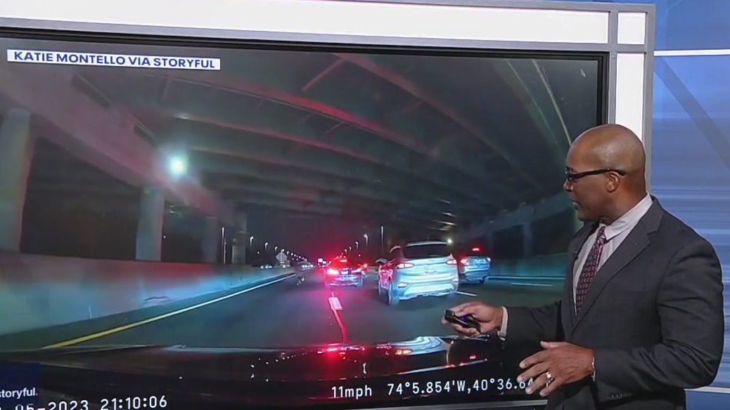 Runaway dog rescued on busy highway