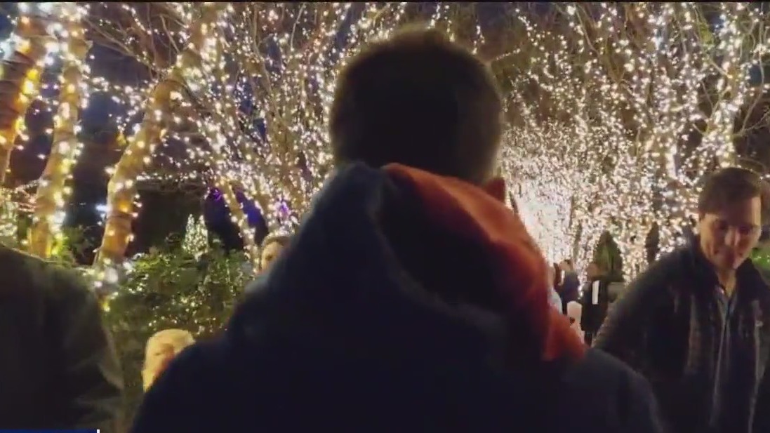 The Atlanta Botanical Garden's holiday lights