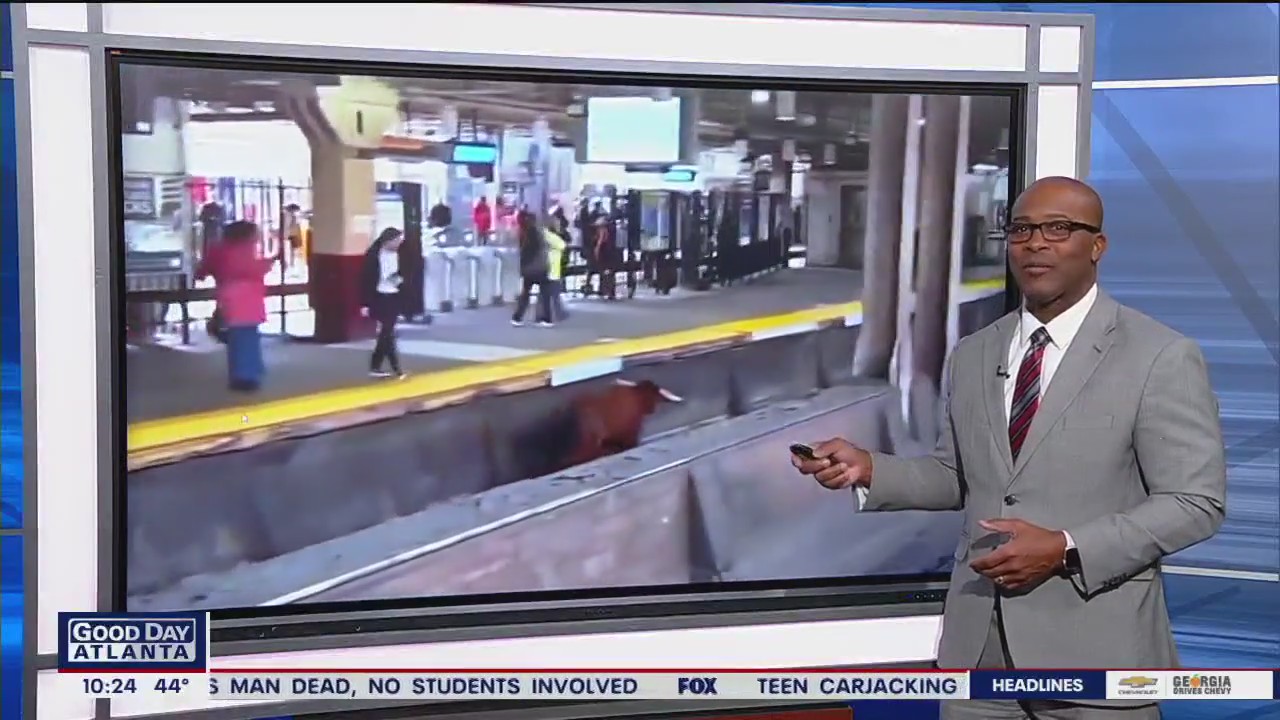 Runaway bull shuts down New Jersey trains