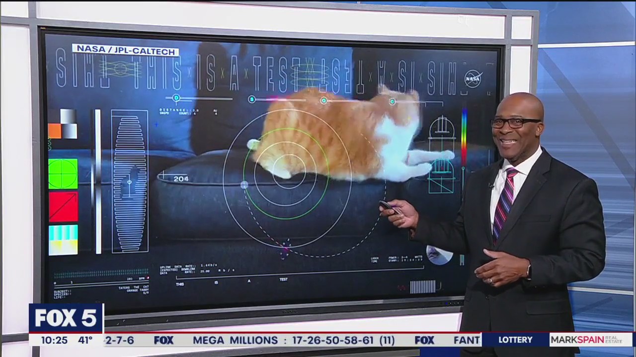 NASA streams cat video from deep space