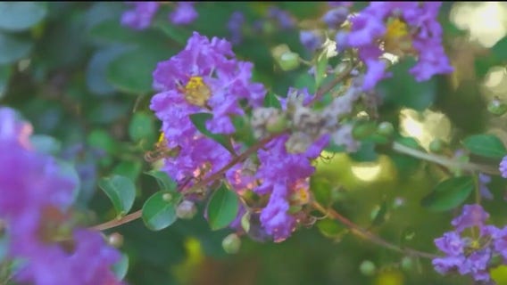 Tips on how to practice, live with gratitude