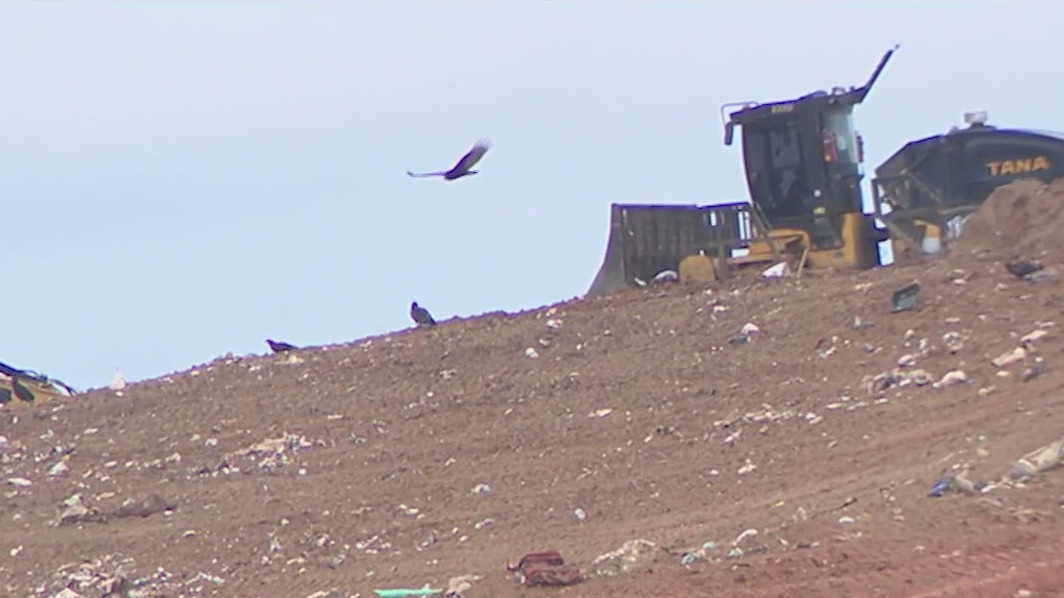 County leaders stave off decision on landfill probe