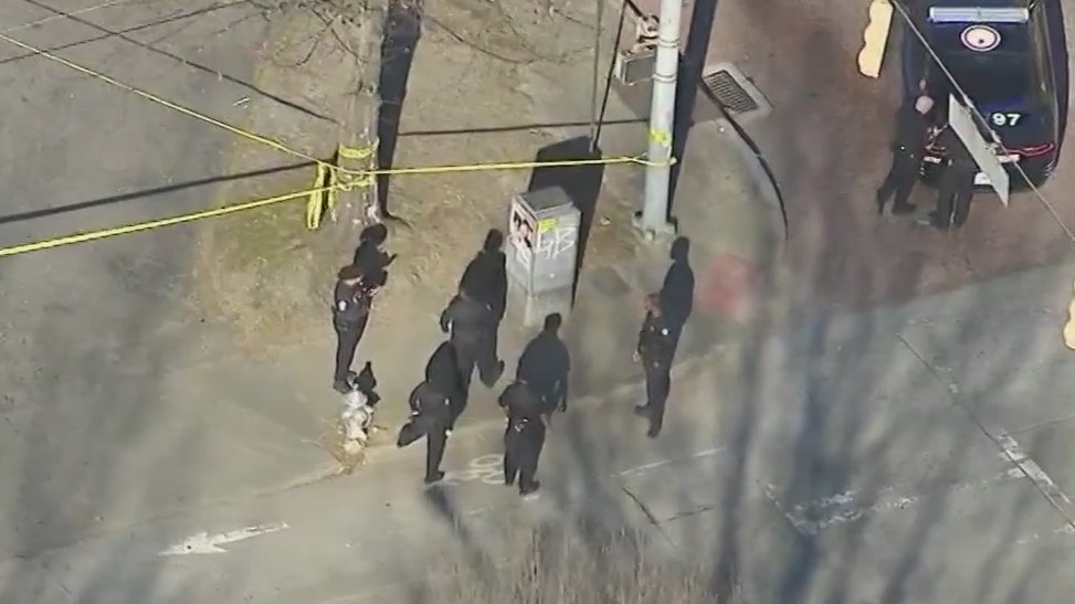 Teen killed in 'targeted' triple shooting | FOX 5 Atlanta