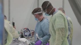 COVID-19, flu, RSV expected to circulate