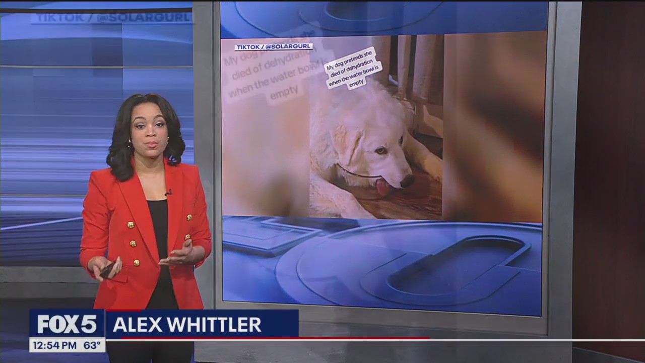 FOX 5 News at Noon Feb. 15, 2024