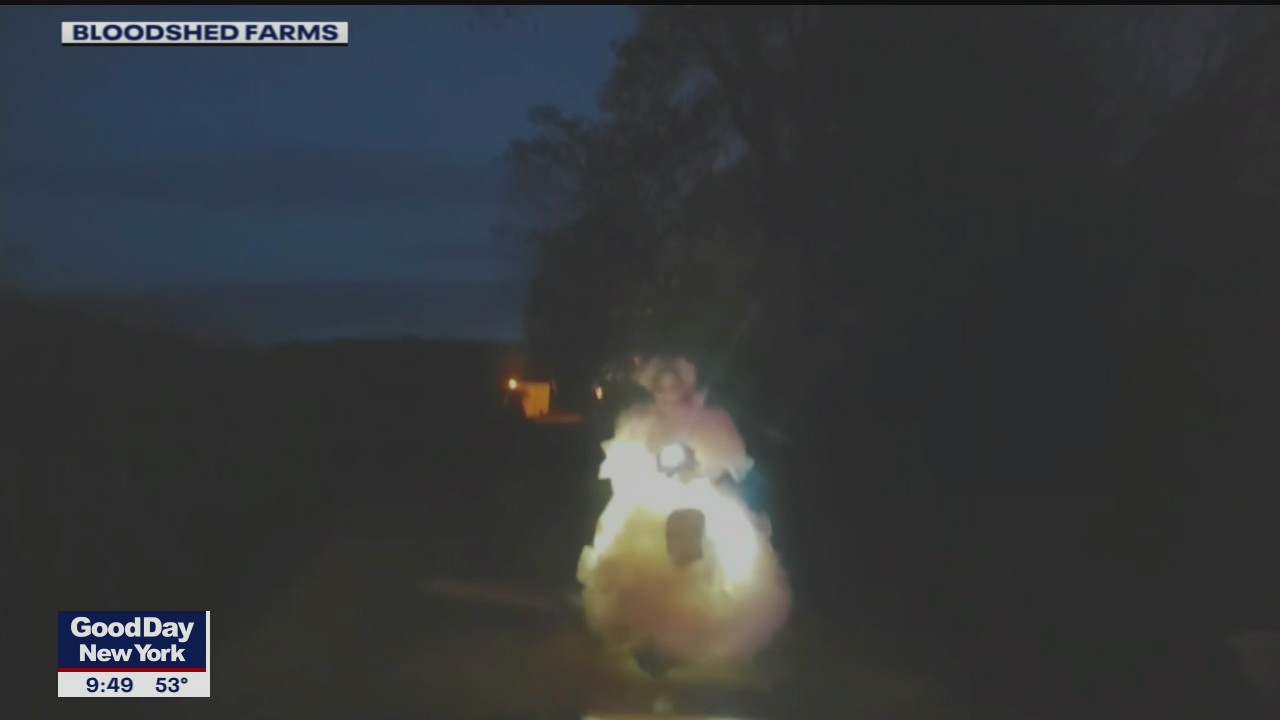 Safe and fun Halloween ideas