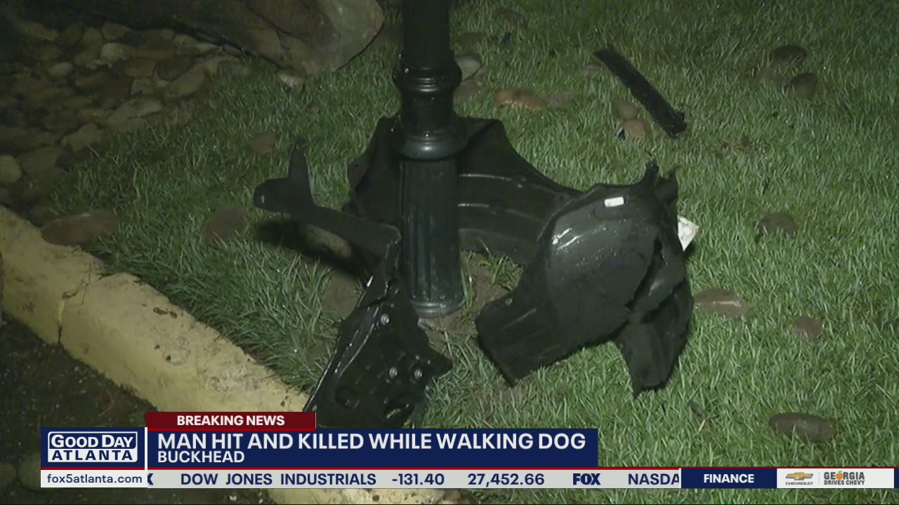 Man struck and killed while walking dog | FOX 5 Atlanta