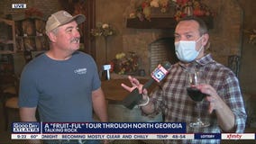 Exploring Gilmer County: Chateau Meichtry Family Vineyard and Winery