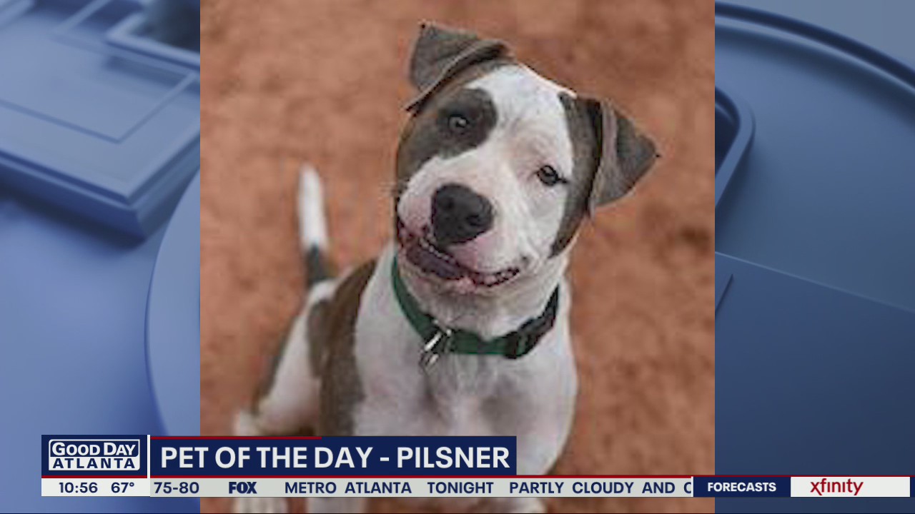 Pets of the Day from Best Friends Animal Society