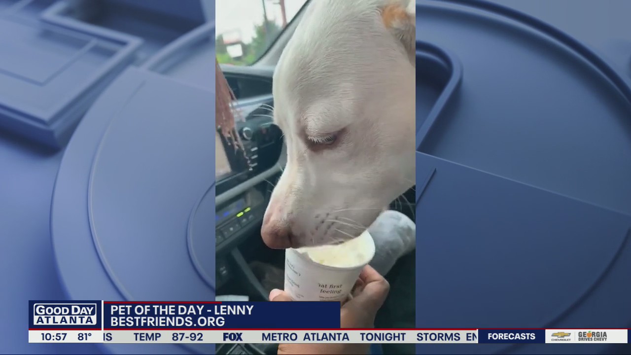 Pet of the Day - Lenny