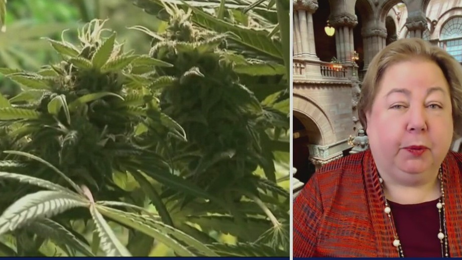 Sen. discuses marijuana legalization