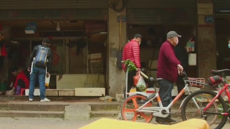 Unanswered questions about virus origin