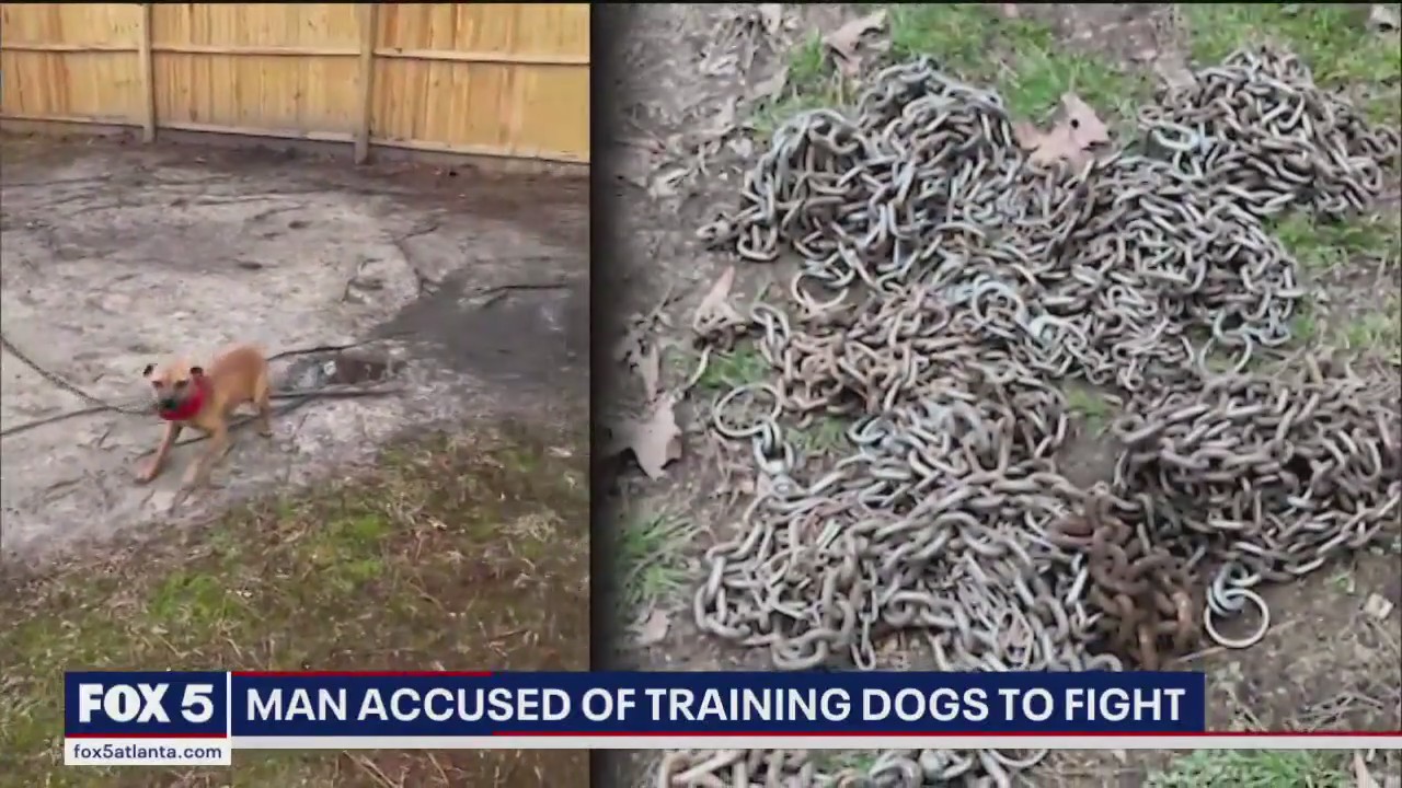 Christopher Railsback Man accused of training dogs to fight | FOX 5 Atlanta