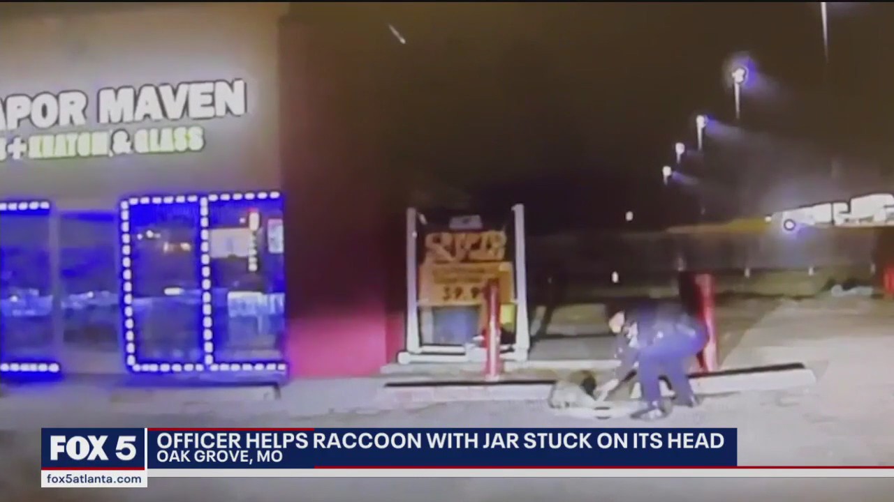 Officer seen trying to free raccoon with head in jar | FOX 5 Atlanta
