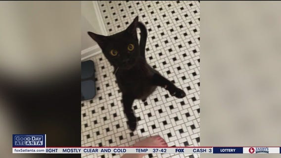 Pet of the Day from Best Friends Animal Society