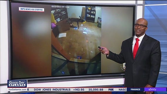 Cops rescue deer trapped in basement