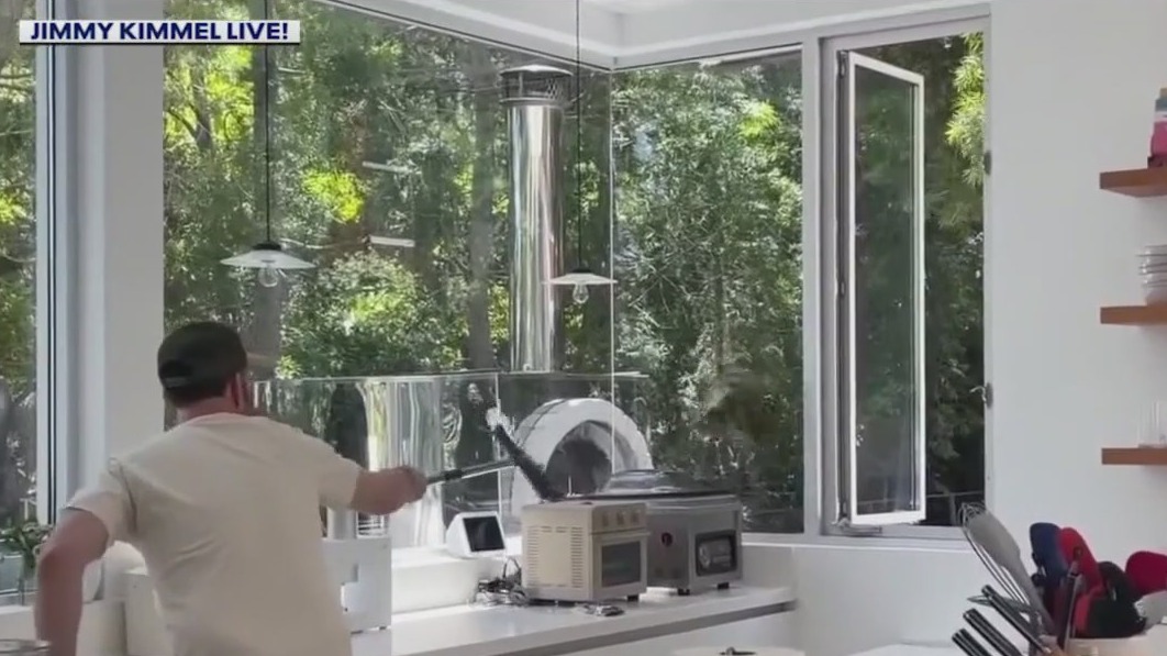 Jimmy Kimmel battles hawk stuck in home