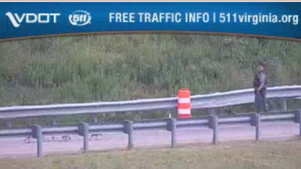 Geese take over Virginia interstate