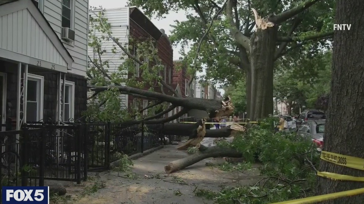 Storm knocks trees down in Queens | FOX 5 New York