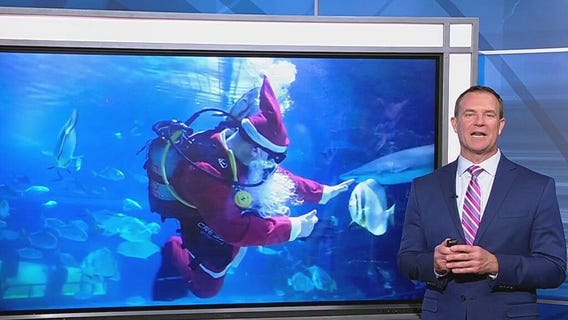 Swimming Santa at Budapest aquarium