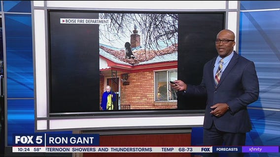 Dog gets stuck on Idaho home's roof