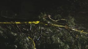 Branches break, power out in freezing weather