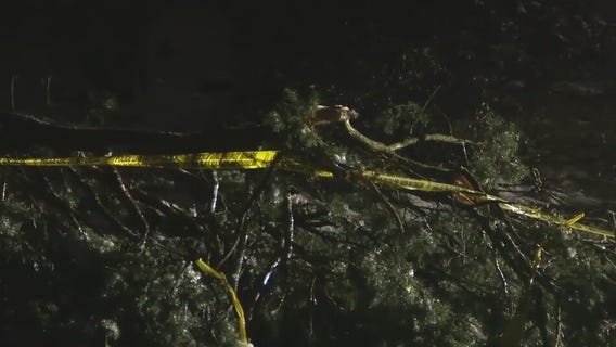 Branches break, power out in freezing weather