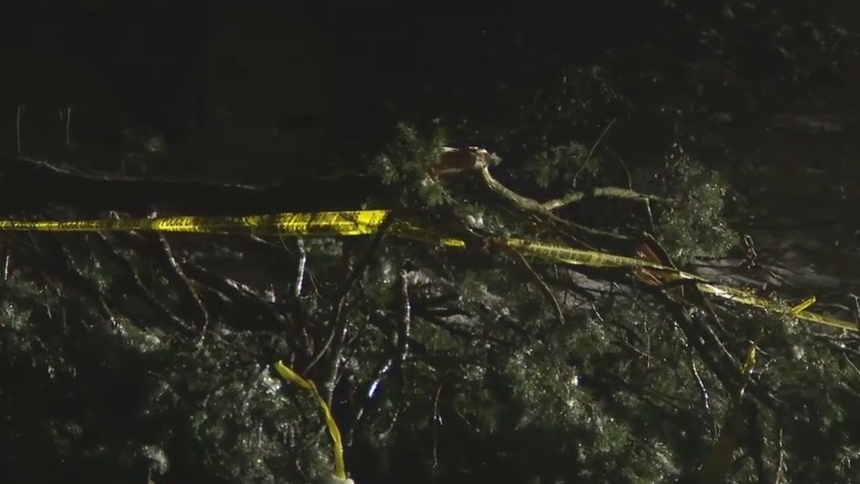 Branches break, power out in freezing weather