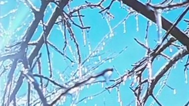 Ice, snow melts around metro Atlanta