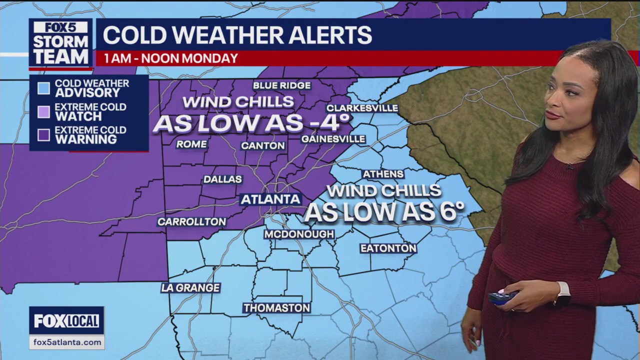 Georgia arctic blast update