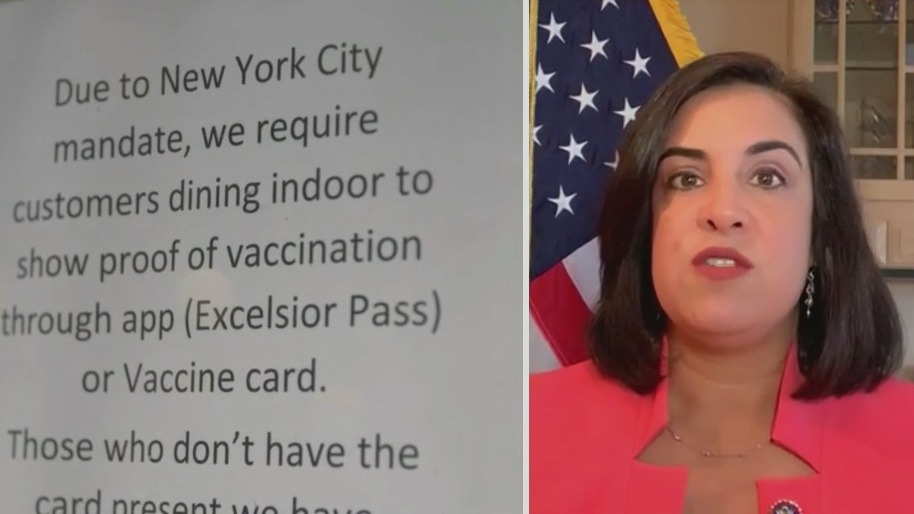 Rep. Nicole Malliotakis on hot topics