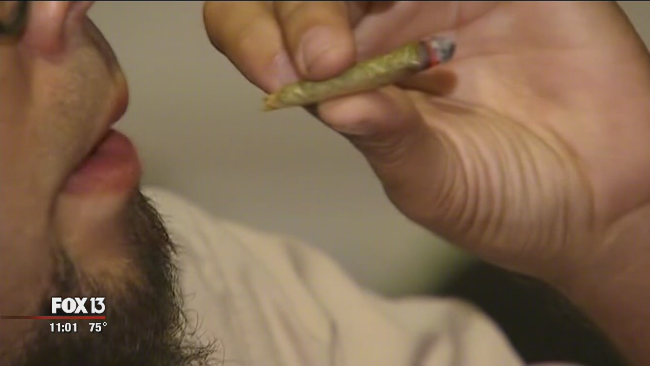Marijuana ordinance takes effect in Tampa | FOX 13 Tampa Bay